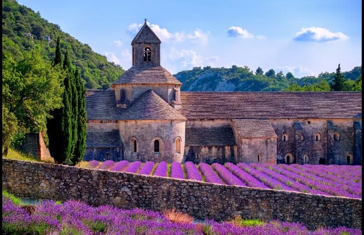 Ngày 5: Provence (Marseilles), Pháp